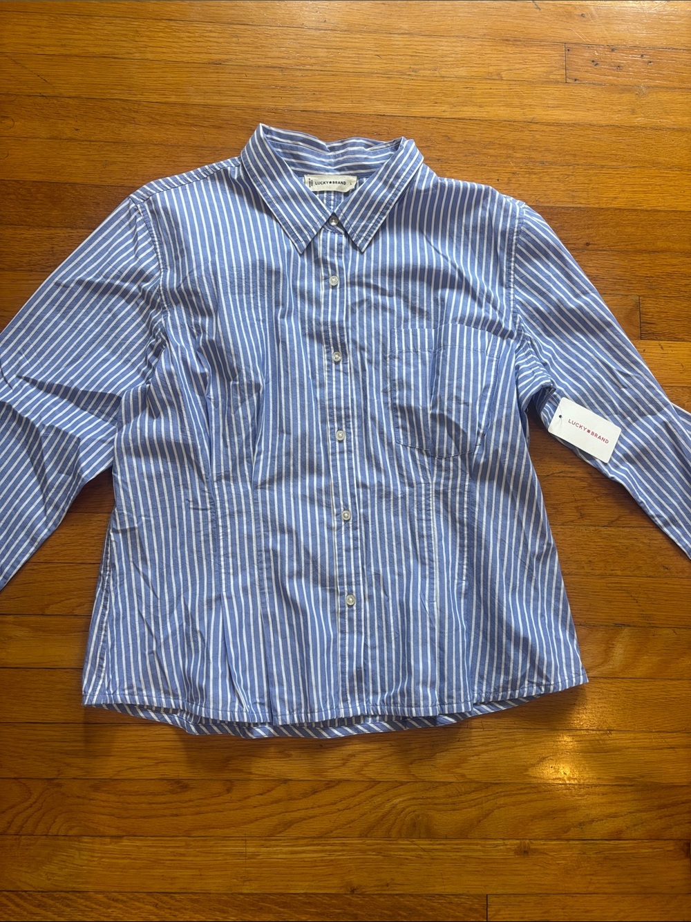 Lucky Brand Blue & White Striped Button Front Shirt